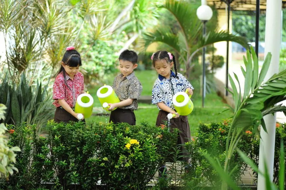 Memilih Sekolah Favorit Terbaik: Pelajaran dari Sebuah Kota Kecil